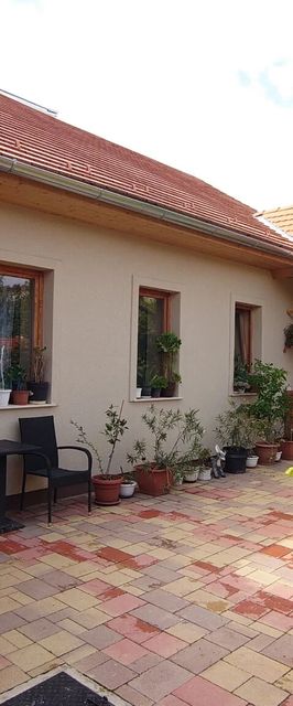 Nyuszifül Vendégház Pécs