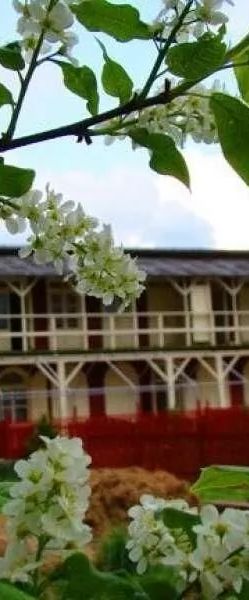 Kemp U Šerifa Protivín