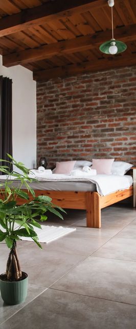 Alszer25 Vendégház Őriszentpéter