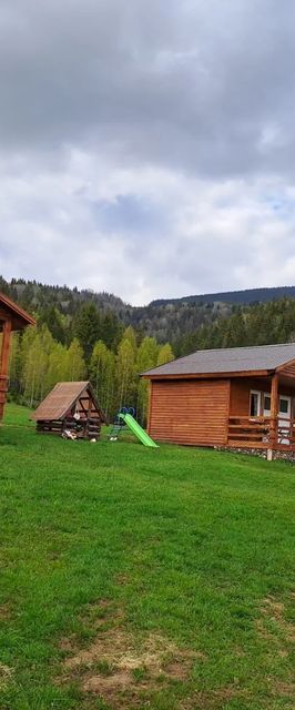 Arama Neagra Izvoru Mureșului