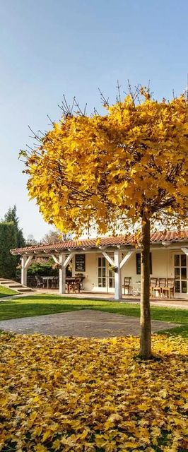 Penzion V polích Číčovice