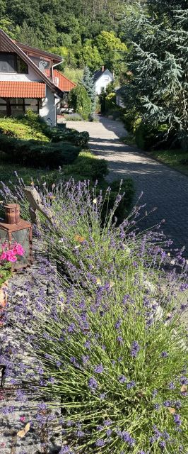 GuBó Vendégház Gánt