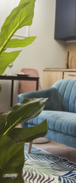 Dream Team Paderewskiego Bydgoszcz