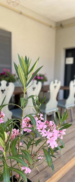 Dekorellá Tó Vendégház Zamárdi