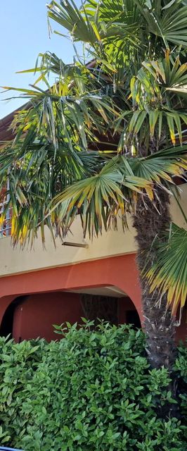 BB Horvát Apartman Pinezići