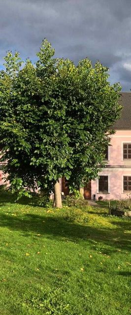 Hotel mlýn Maděrovka Sepekov