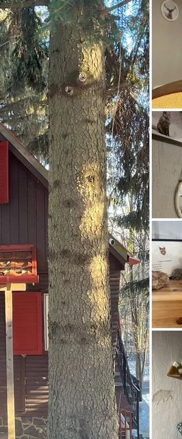 Endor Vendégház Galyatető