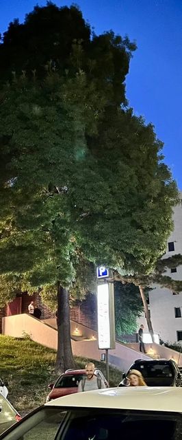 Mav Apartments Hanul cu Peste Mamaia Nord