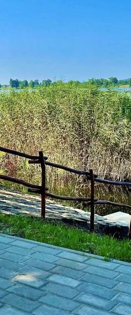 Tóparti Kuckó Mályi