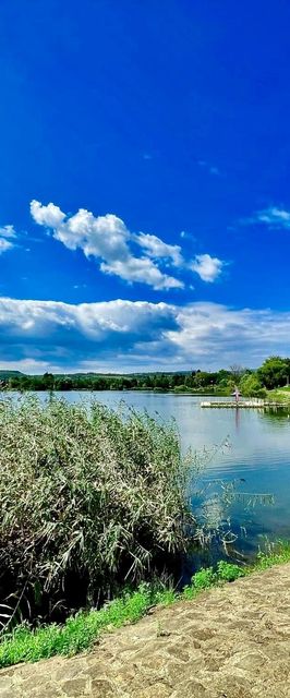 Tóparti Kuckó Mályi