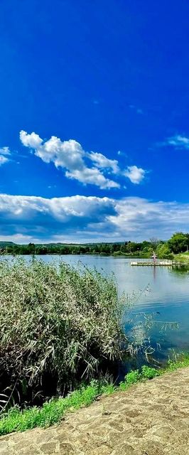 Tóparti Kuckó Mályi