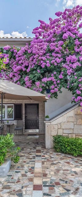 Apartman Premantura - CIA189