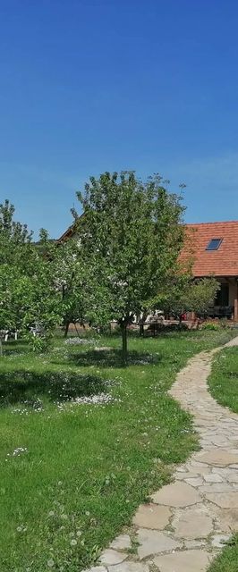 Pista Papa Tanyája Balatongyörök