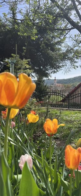 Malomvölgy Vendégház Tardos