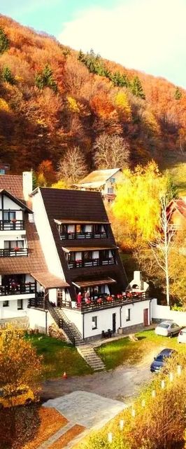 Pensiunea Ursuleț Bran