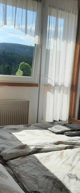 Apartmán Helena Harrachov