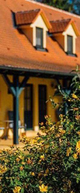 APARTMÁNY V PARKU Lednice