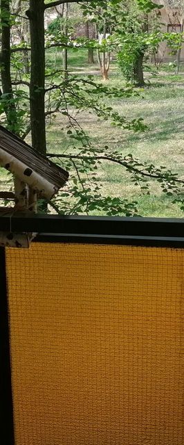 Erzsébet Vendégház Szarvas