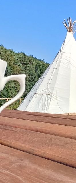 Wild Nature Bałtów