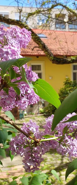 SzennA Vendégház Szeged