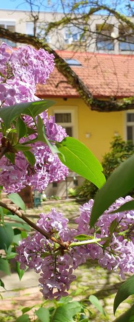 SzennA Vendégház Szeged