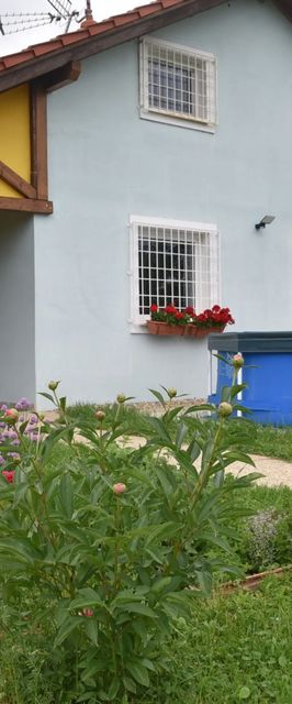 Marosi Kék Vendégház Nagymaros