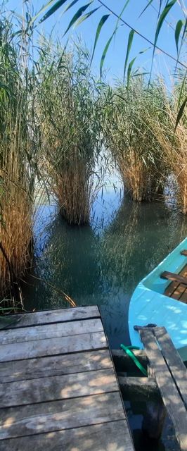 Bohém Vendégház Ábrahámhegy