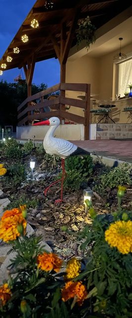 Gólyafészek Apartman Tiszafüred