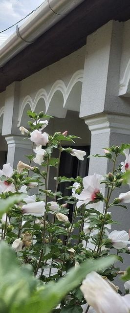 Téli Berek Vendégház Abod