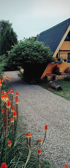 Ódon Vendégház Palotás