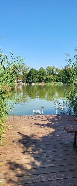 Pecó Kecó Ráckeve