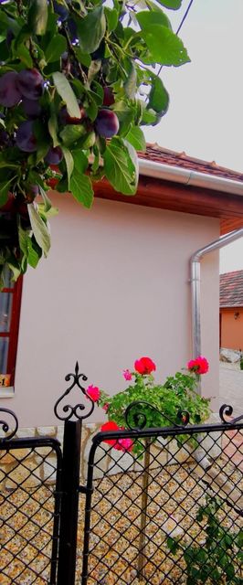 Szilvaliget Vendégház Tolcsva