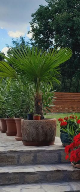 Papp Vendégház Balatonederics