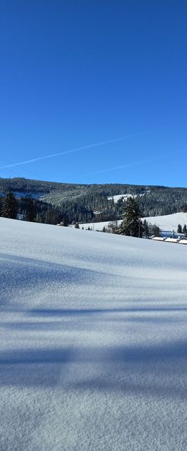 Villa Szarotka Dzianisz