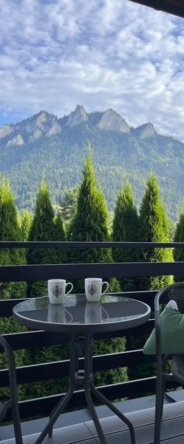 Willa Magdalena Sromowce Niżne