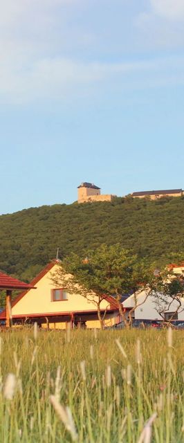 Kék-Lak Vendégház Mogyoróska