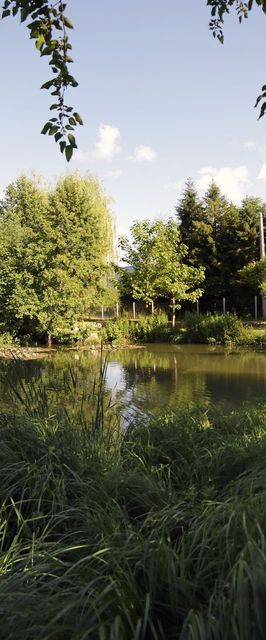 Fónagy Apartmanok Nagyvisnyó