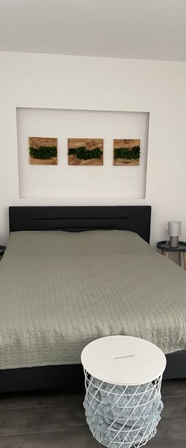 Karos Night Sky Apartman Zalakaros