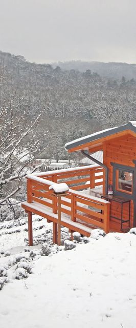 Szajkó Fakuckó*** Tamási