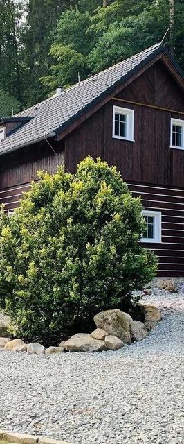 Apartmány Jetřichovice