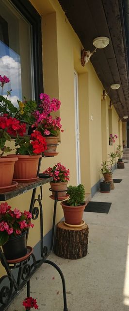 Gőgő Parti BM Tanya Nagyszekeres