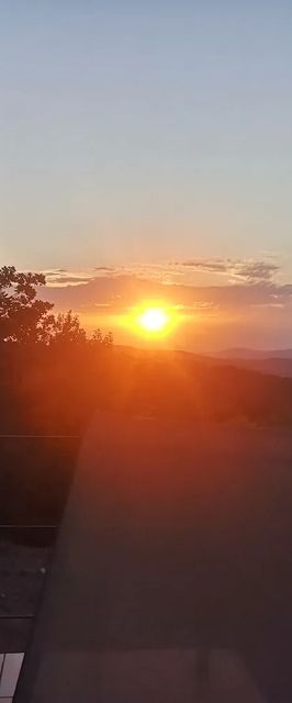 Csudahely Vendégház Dunabogdány