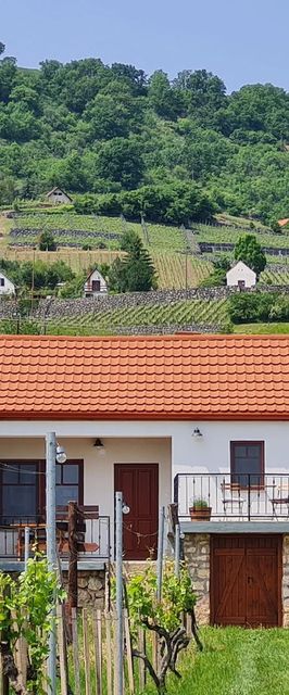 Jera Pince és Vendégház Somlóvásárhely