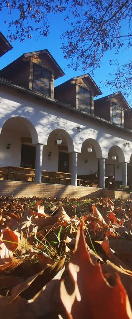 Lovasbarát Fogadó Győrújbarát