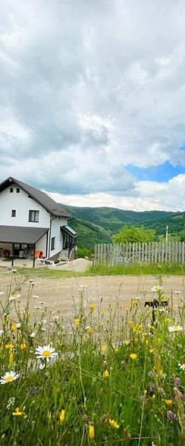 Pensiunea K9 Răchițele