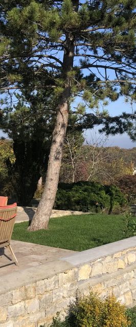 Pirk Vendégház Vászoly