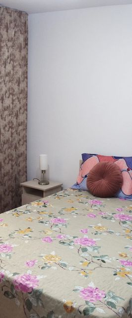 1st Apartment Nehoiu