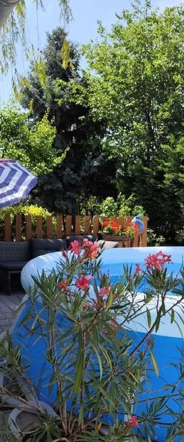 Norbi Vendégház Balatonszárszó