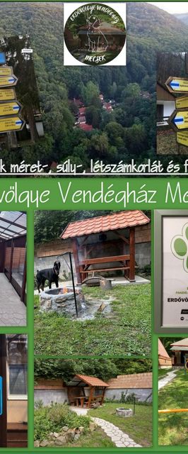  Erdővölgye Vendégház Mecseknádasd-Óbánya