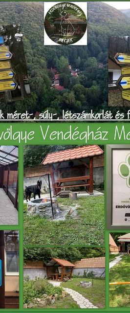  Erdővölgye Vendégház Mecseknádasd-Óbánya